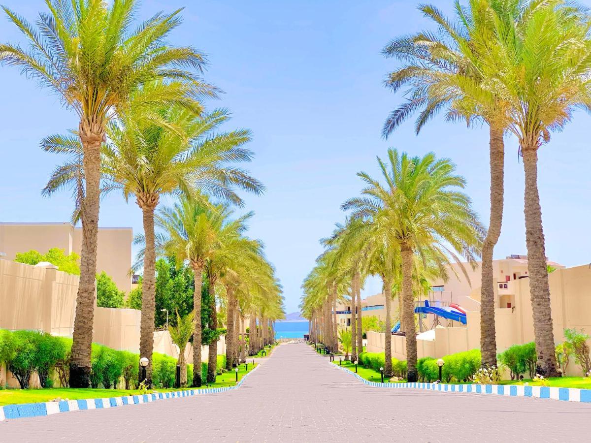 Ivy Cyrene Island Aqua Park Resort (Adults Only) شرم الشيخ المظهر الخارجي الصورة